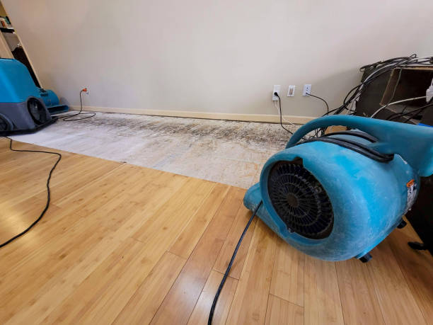 Professional Basement Flood Cleanup technician working in Flanders, NJ